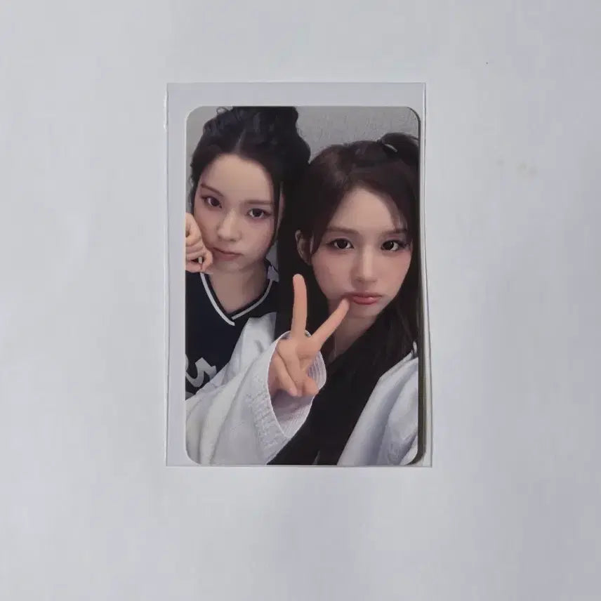 [BUNJANG] NMIXX Sullyoon Jinni "Expergo" Photocard + Serenade Album Set / NMIXX/설윤 규진/멬스/포카+세레나데1종 양도