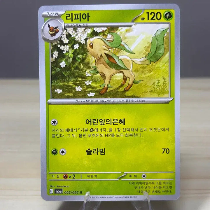 [BUNJANG] Pokemon Card Leafeon sv5a 006/066 U / [포켓몬카드] 리피아 sv5a 006/066 U