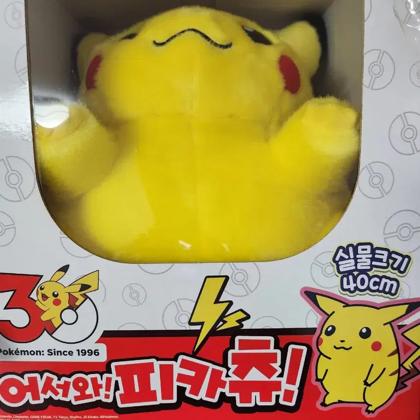 [BUNJANG] Pokemon Pikachu Greeting Box / 포켓몬 어서와 피카츄