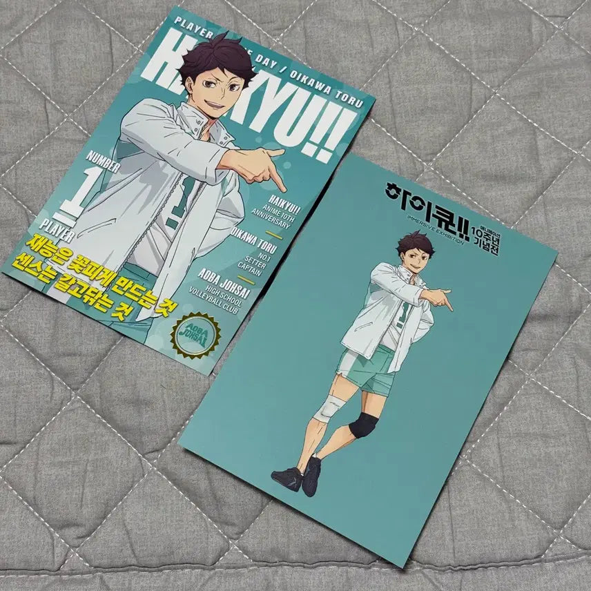 [BUNJANG] Haikyu!! 10th Anniversary Exhibition Oikawa Toru Postcard Special Gift / 하이큐 10주년 기념전 엽서 특전 오이카와 토오루 룩업 넨도 가챠 피규어 파샤