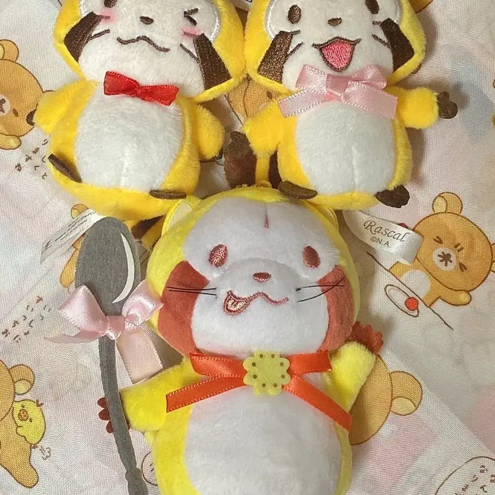 [BUNJANG] Rascal Doll 3-Piece Bundle Set / 라스칼 인형 3개 세트 [일괄판매]