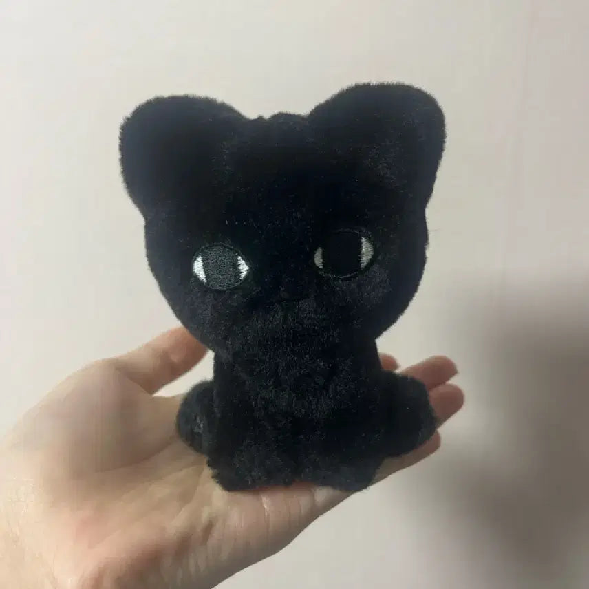 [BUNJANG] Hunter x Hunter Irumi Plush / 헌터헌터 냥르미