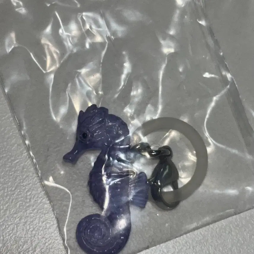 [BUNJANG] Kaiyodo Marine Life Gacha - Seahorse (Sealed) / [미개봉] 해양생물 메지루시 가차