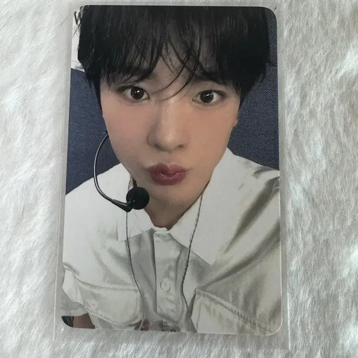 [BUNJANG] NCT WISH Yushi Songbird Photocard / 엔시티위시 유우시 송버드 포카