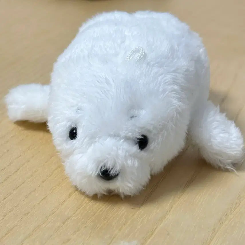 [BUNJANG] Seal Plush Toy / 바다표범 ? 하프물범 인형