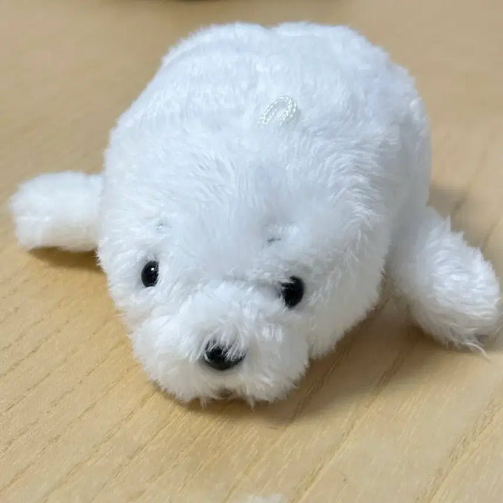 [BUNJANG] Seal Plush Toy / 바다표범 ? 하프물범 인형