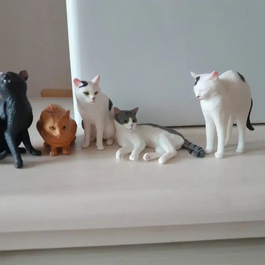 [BUNJANG] Realistic Cat Gacha Figure Bundle Set / 실사 고양이 가챠 피규어 일괄
