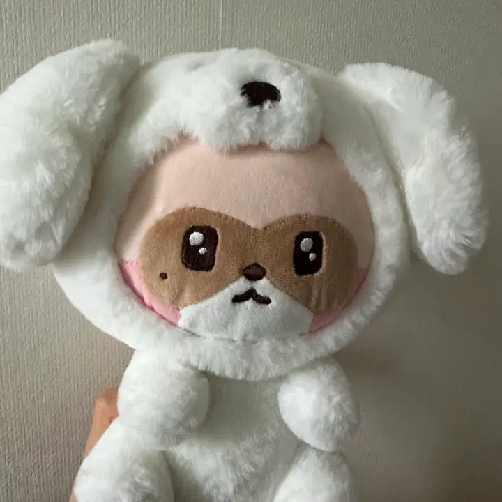 [BUNJANG] Wonderland Hanni Doll / 원더랜드 하니니 인형