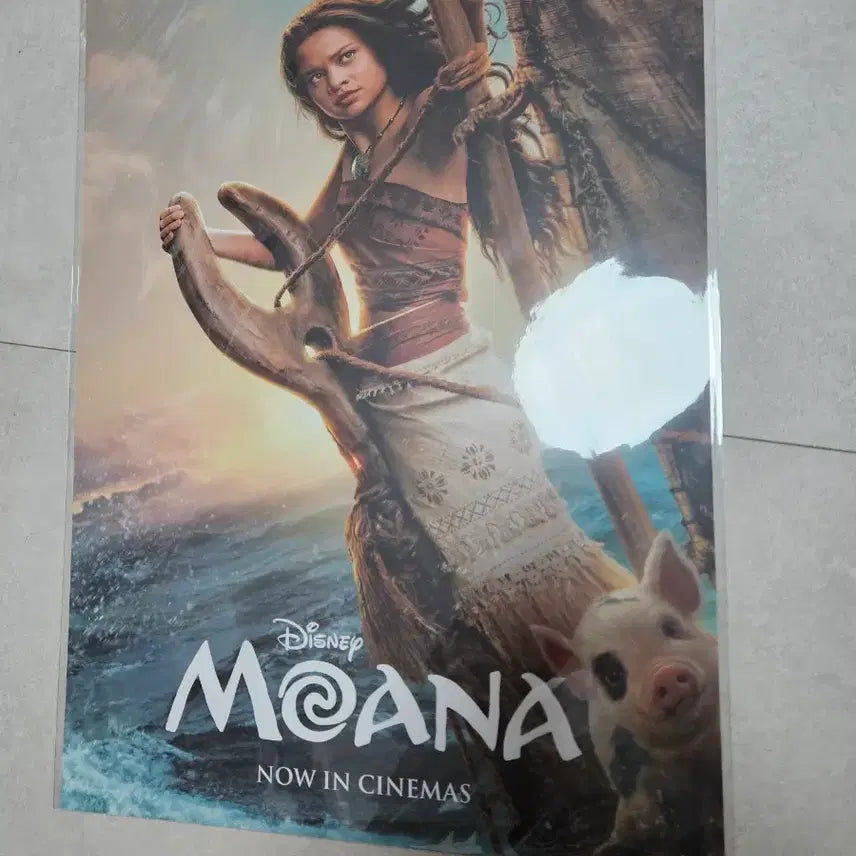 [BUNJANG] Moana CGV Theater Special 2nd Week Original Poster / 모아나 cgv 극장특전 2주차 오리지널 포스터 미개봉