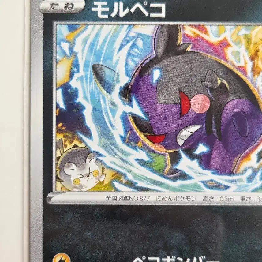 [BUNJANG] Pokemon Card Morpeko Full Belly Mode Paradigm Trigger (s12 062/098 C) Japanese / [일판] 2022년 포켓몬 카드 모르페코 패러다임트리거 (s12 062/098 C)