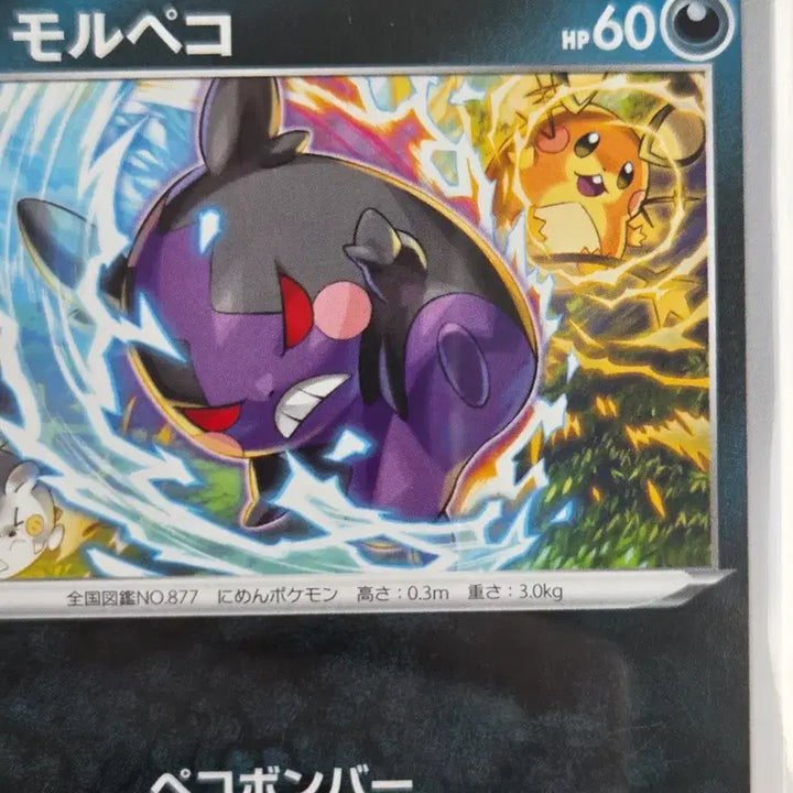 [BUNJANG] Pokemon Card Morpeko Full Belly Mode Paradigm Trigger (s12 062/098 C) Japanese / [일판] 2022년 포켓몬 카드 모르페코 패러다임트리거 (s12 062/098 C)