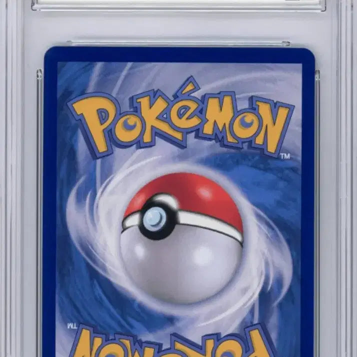 [BUNJANG] BRG 10 Iron Leaf EX SAR Graded Card / (brg 10) 포켓몬 카드 무쇠잎새EX SAR 최고등급 카드