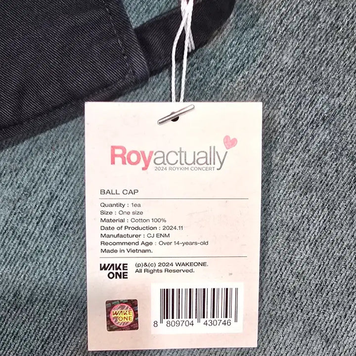 [BUNJANG] Roy Kim Roy Actually Concert Ball Cap / 로이킴 로이액츄얼리 콘서트 볼캡