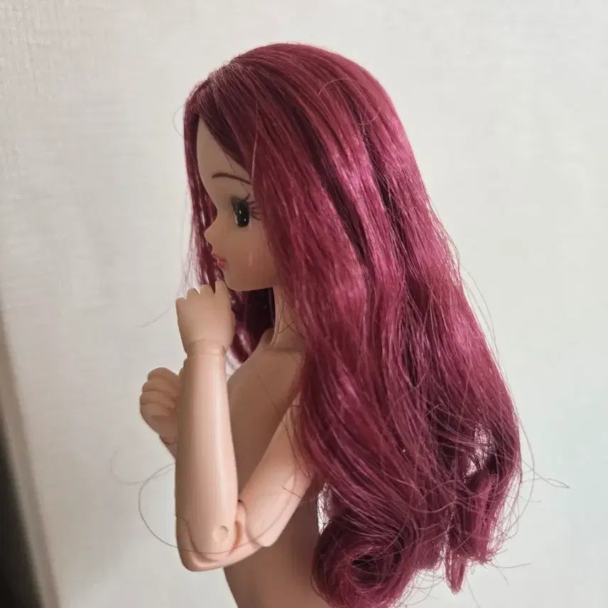 [BUNJANG] Licca Castle Head &amp; Obitsu 22 Body Set / 리카캐슬 리카헤드와 오비츠22바디