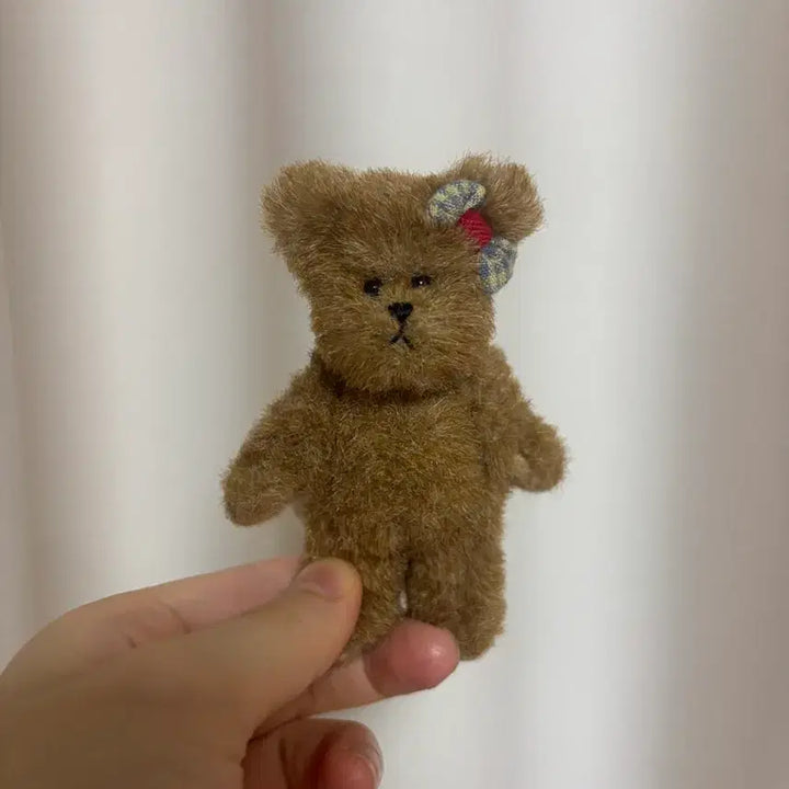 [BUNJANG] Boyds Bears Chokomi / 보이즈베어 쪼꼬미