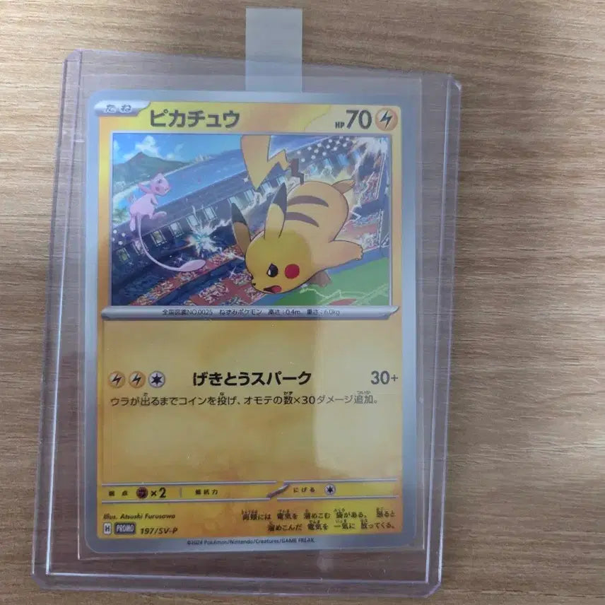 [BUNJANG] Pokemon Card Pikachu Gym Promo / 포켓몬카드 판매합니다.(24년 일판 피카츄 짐 프로모)