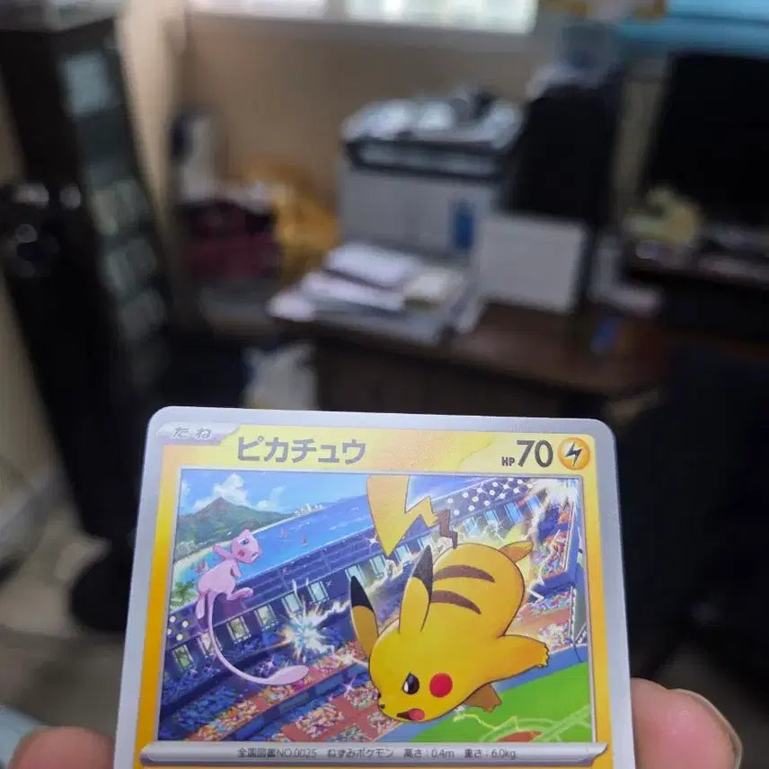 [BUNJANG] Pokemon Card Pikachu Gym Promo / 포켓몬카드 판매합니다.(24년 일판 피카츄 짐 프로모)