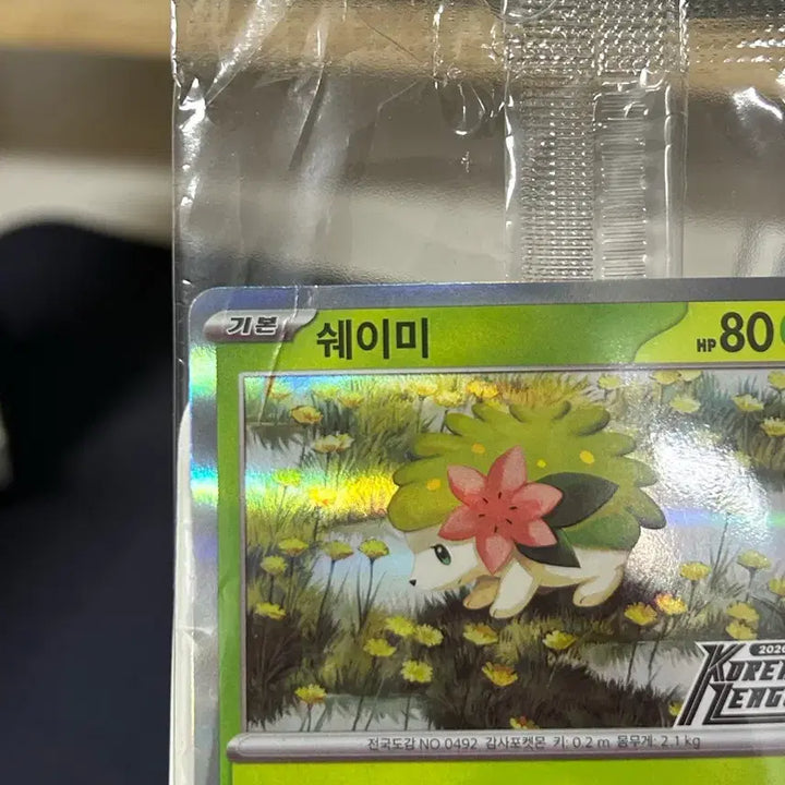 [BUNJANG] Pokemon Card Shaymin Korean League Sealed / 포켓몬카드 쉐이미 코리안리그 미개봉