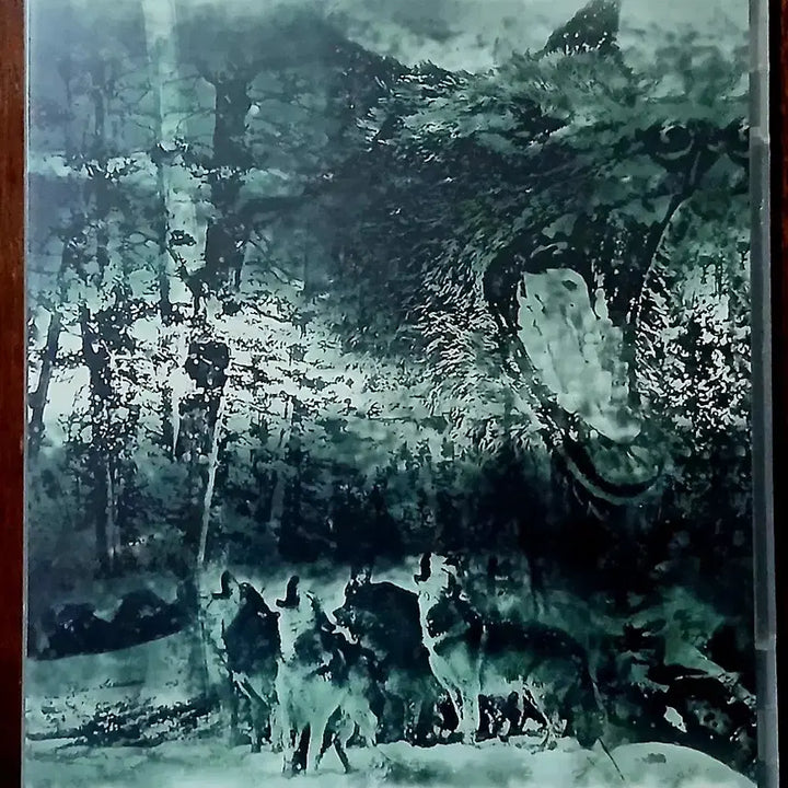 [BUNJANG] Catamenia "Bringing The Cold To Poland" DVD / DVD 메탈 Catamenia의 "Bringing The Cold To Poland"