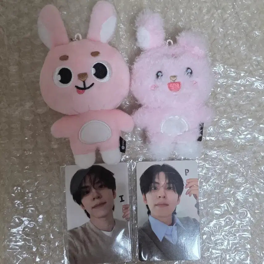 [BUNJANG] Day6 Unfiltered Melongphil Chorongphil Bundle Set / [일괄] 데이식스 언필터드 메롱필 초롱필