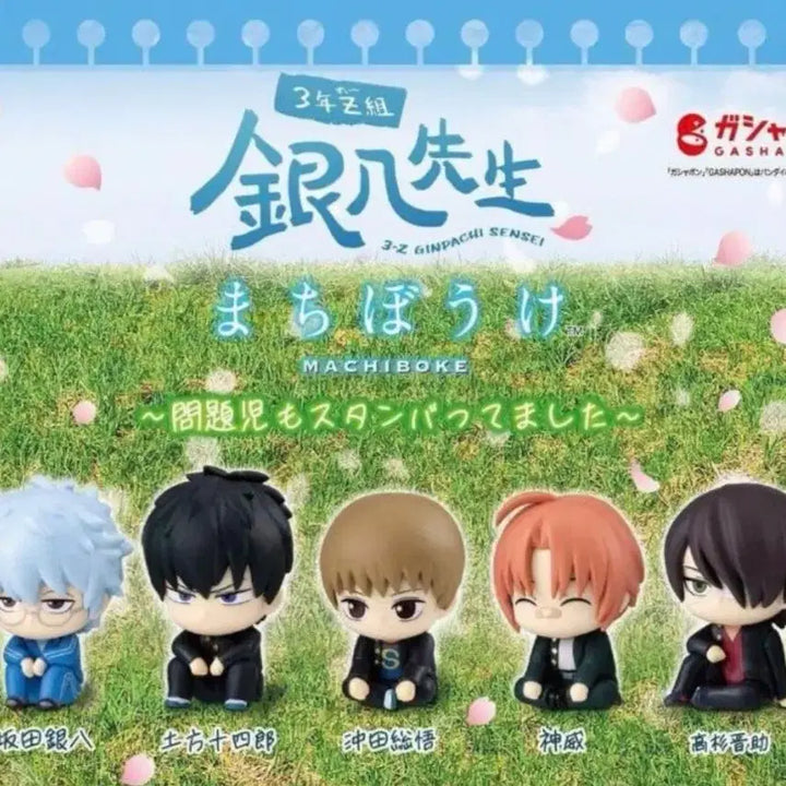 [BUNJANG] Gintama 3Z Ginpachi-sensei Matcha Box Vol. 2 / 은혼 삼젯 3학년 Z반 긴파치센세 마치보케 2탄 판매