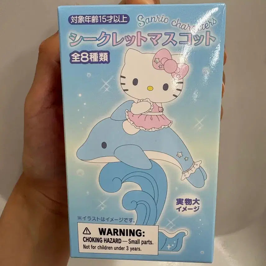 [BUNJANG] Sanrio Clear Mascot Charm / 산리오 클리어 시크릿 마스코트
