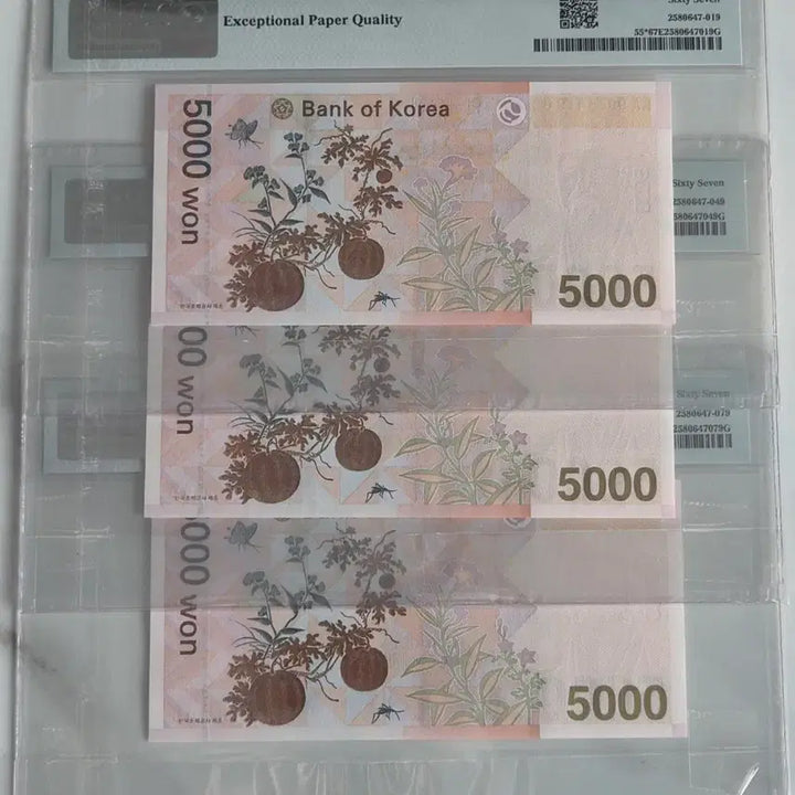[BUNJANG] Korean Banknote Collection: Supplement Issue AAA00 First Edition PMG Graded Notes / 한국은행 AAA00 초판 보충권 연번 PMG 고등급 그레이딩 지폐