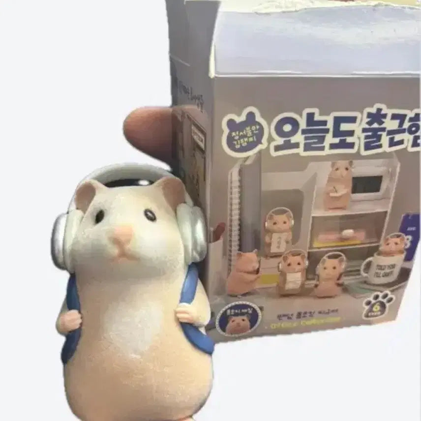 [BUNJANG] Kim Hamzzi &