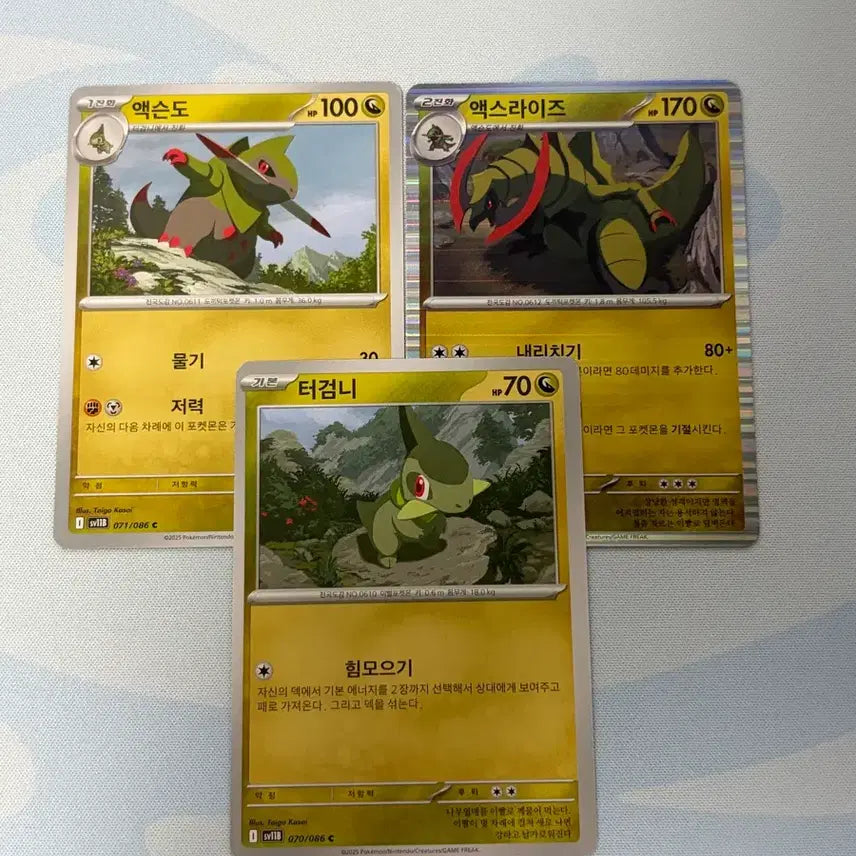 [BUNJANG] Pokemon Garchomp Axew Fraxure Haxorus Bundle Set / 포켓몬카드 터검니 액슨도 액스라이즈 일괄