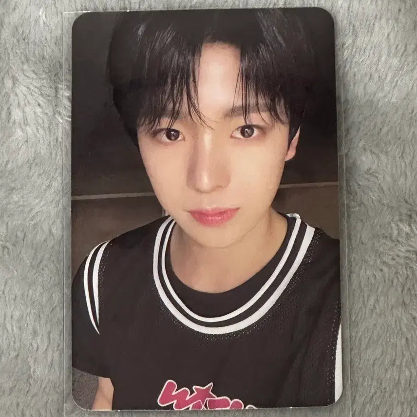 [BUNJANG] Yuushi Steady Album Official Photocard / 유우시 스테디 앨범 포카 양도 공식포카 양도 위시 유우시