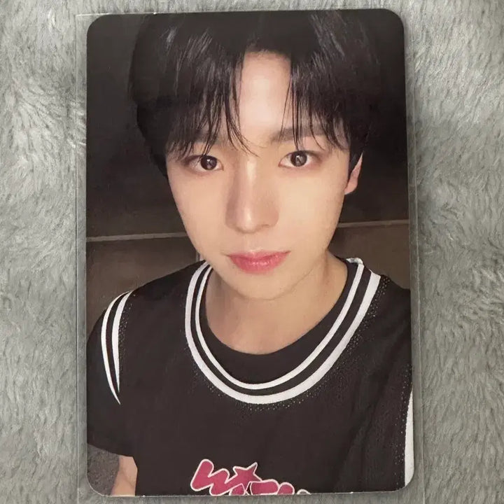 [BUNJANG] Yuushi Steady Album Official Photocard / 유우시 스테디 앨범 포카 양도 공식포카 양도 위시 유우시