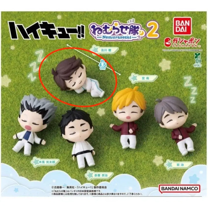 [BUNJANG] Haikyuu!! Nemurasetai Vol. 2 Oikawa Toru Figure (Sealed) / 하이큐 네무라세타이 미개봉 오이카와