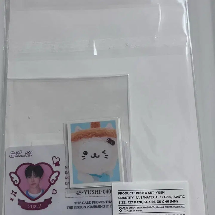 [BUNJANG] NCT WISH Yushi Steady Postcard Set (Sealed) + Unofficial Goods Bundle Set / 엔시티위시 유우시 스테디 엽서세트 미개봉+비공굿