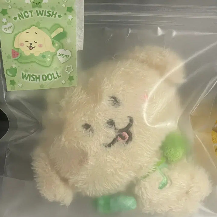 [BUNJANG] NCT WISH Wish Doll Ddaeng Treever Original Unsealed / 엔시티위시 위시돌 오리지널 댕트리버 양도