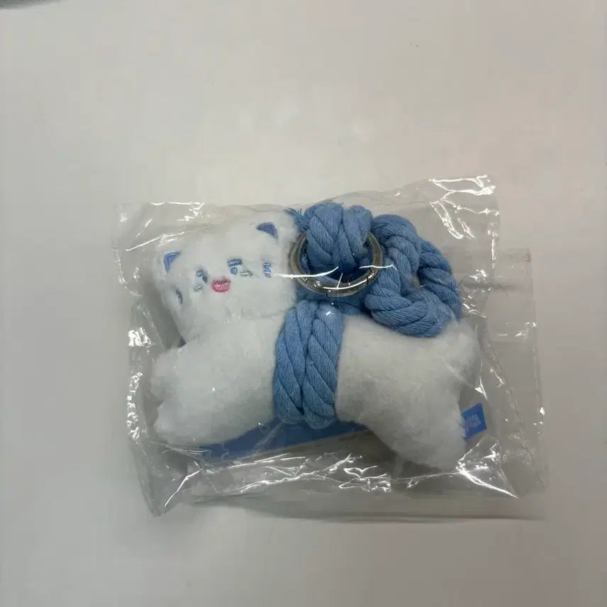 [BUNJANG] Onew Jjingnyangi Protection Doll Photocard / 온유 찡냥이 액막이 인형 포카포함