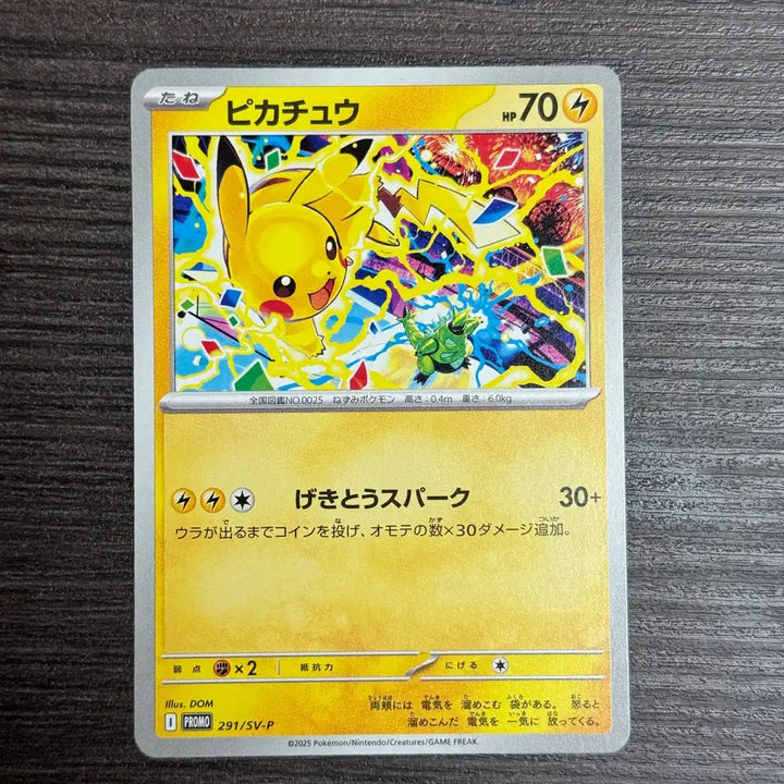 [BUNJANG] Pokemon Card Pikachu Jim Promo 291/SV-P / 포켓몬카드 피카츄 짐프로모 판매 89-AB4