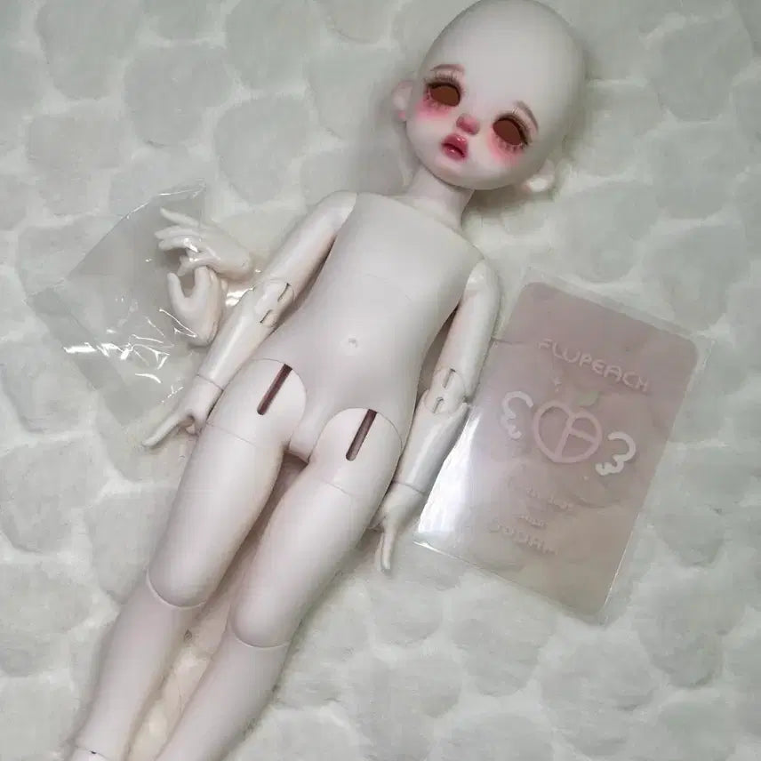 [BUNJANG] Fluffyche 26 Body Dodam 2025 Version Doll / 플러피치 26바디 도담 25년분 양도합니다