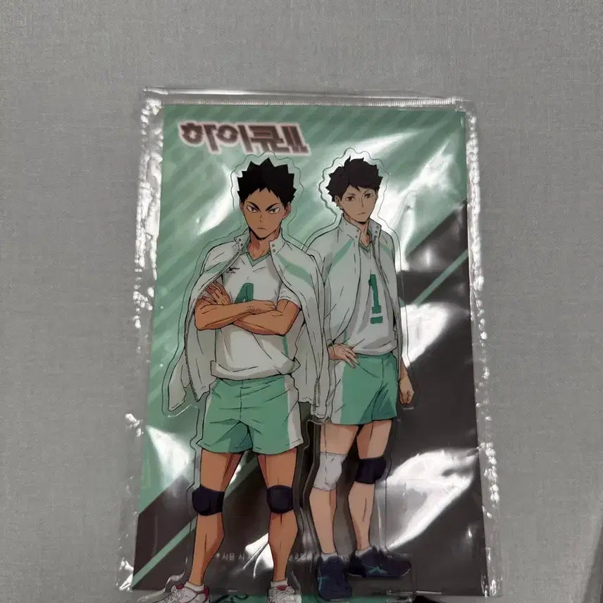 [BUNJANG] Haikyuu!! Aoba Johsai Acrylic Stand - Oikawa &amp; Iwaizumi / 하이큐 아오바죠사이 아크릴 스탠드 오이카와 이와이즈미