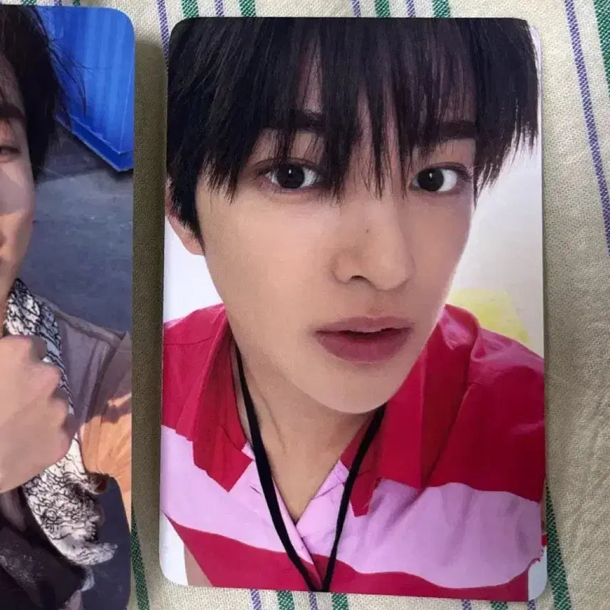 [BUNJANG] Cortis Concert Core Zone Geonho Photocard / 코르티스 콘서트 코어존 건호 포카 양도 cortis