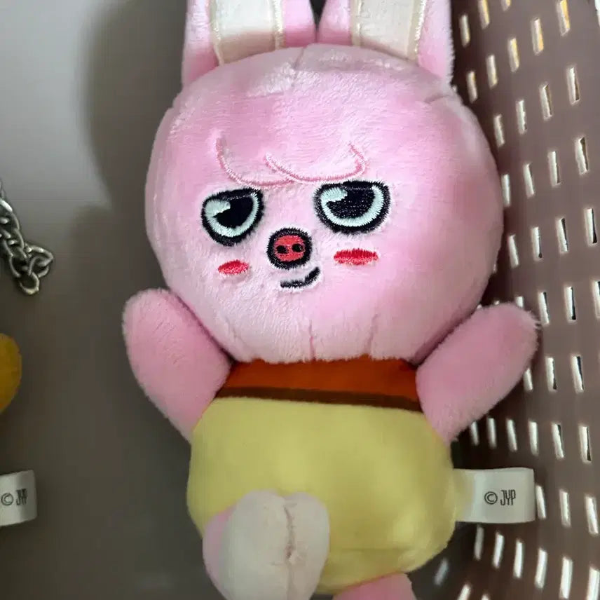 [BUNJANG] JYP Puding Skijoo / JYP 푸딩스키주