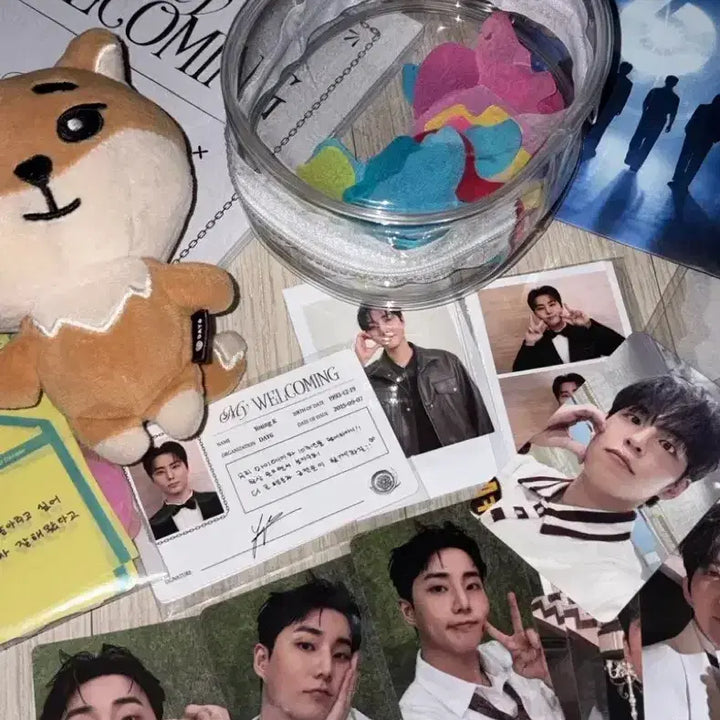 [BUNJANG] DAY6 Bundle Set Photocard / 일괄 )데이식스 처분 데멀 포카 컨페티 전부