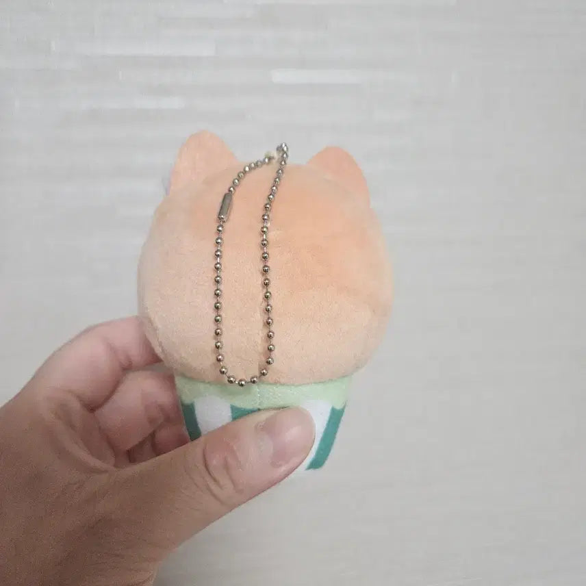[BUNJANG] Paradox Live Enchante Amprul Cupcake Plush / 안전결제) 파라라이 파라독스 라이브 연동하 앰프룰 컵케이크 누이