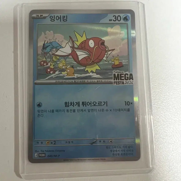 [BUNJANG] Magikarp Promo Card Bundle Set / 잉어킹 프로모 카드 일괄