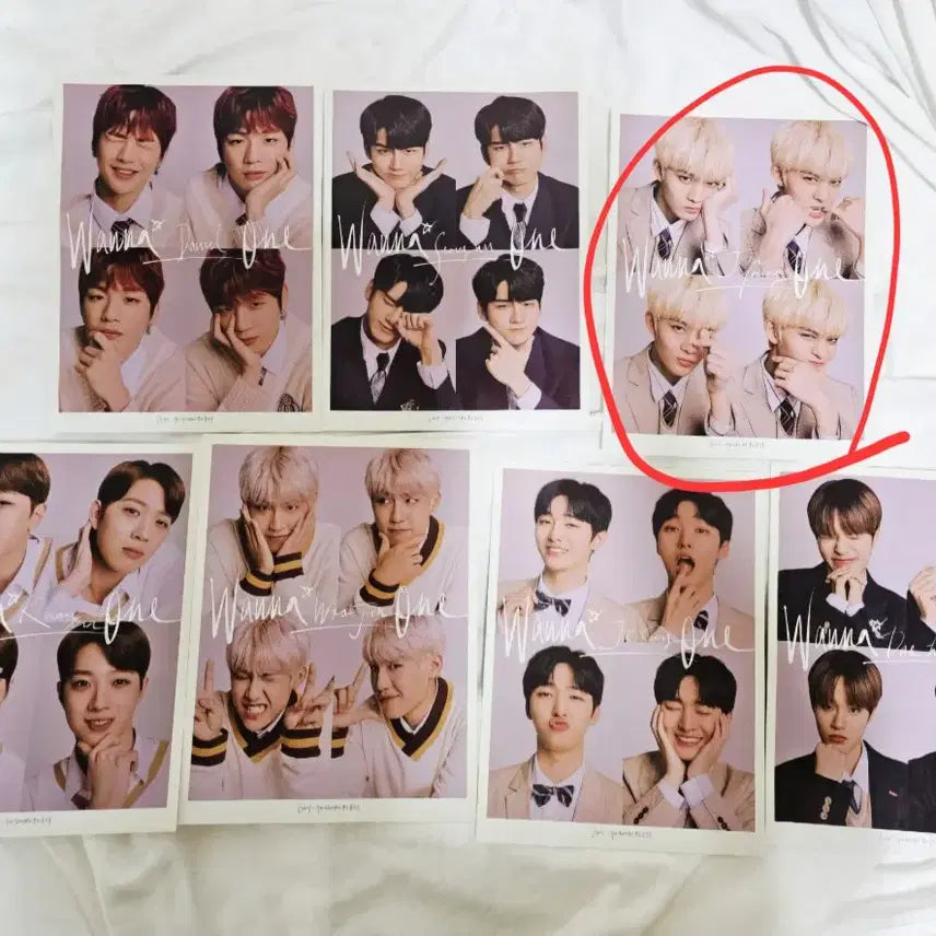 [BUNJANG] Wanna One Bae Jinyoung Bundle Set Photocard and Goods / 워너원 WANNA ONE / 배진영 / cix 굿즈모음 일괄