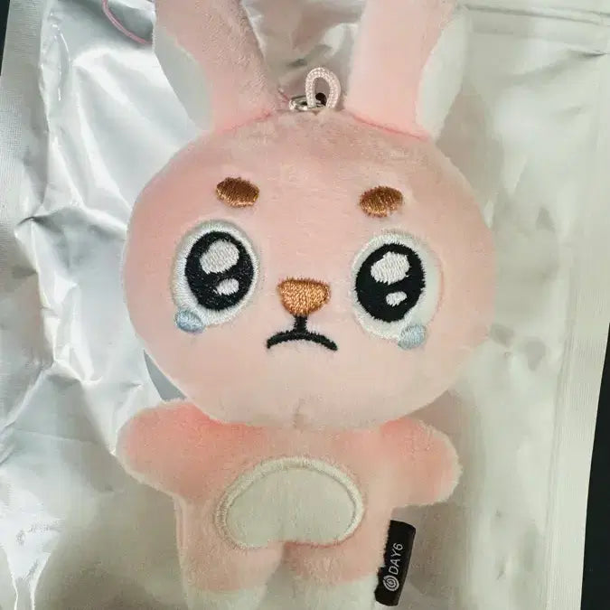 [BUNJANG] DAY6 Young K Unfiltered Pil_K Keyring / 새상품 언필터드 필끼 뿌엥필 시크릿 키링 데멀 원필