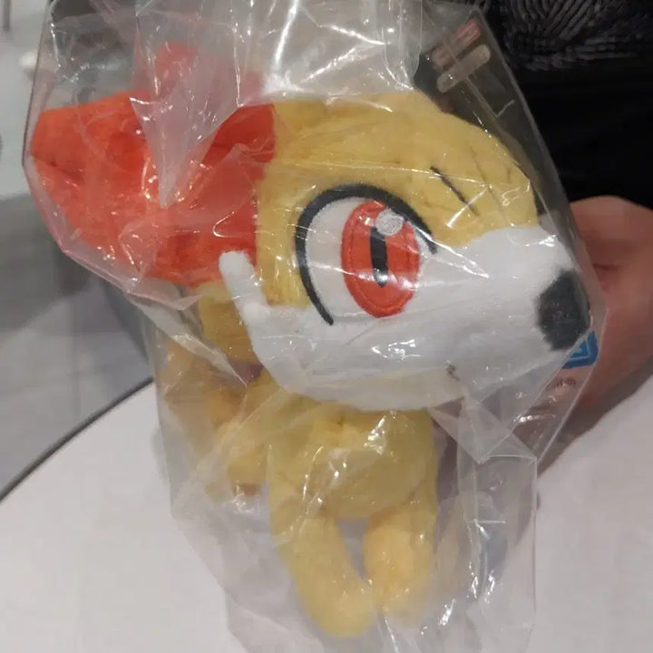 [BUNJANG] Pokemon 30th Anniversary Kuji Prize D Fuokko Plush / 포켓몬 푸호꼬 쿠지30주년 D상