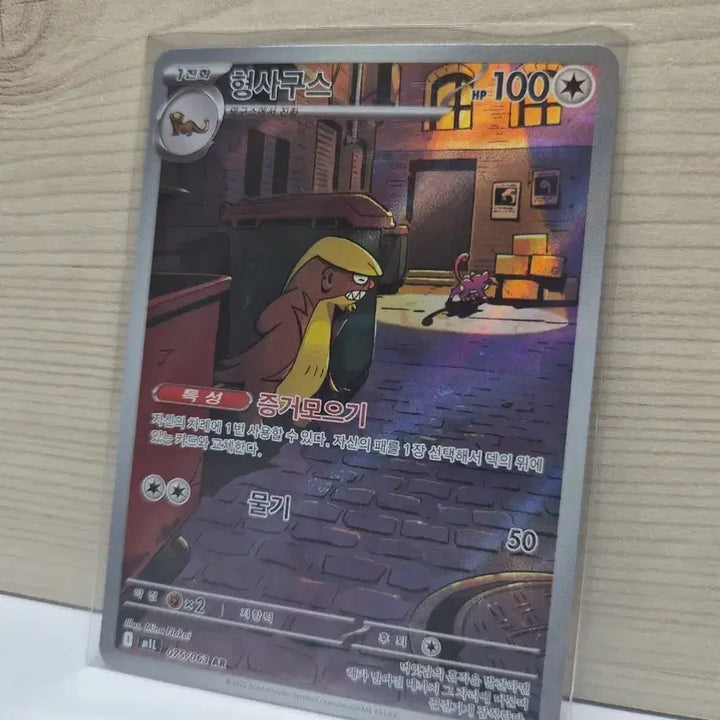 [BUNJANG] Detective Goose AR Card / [S급] 형사구스 AR