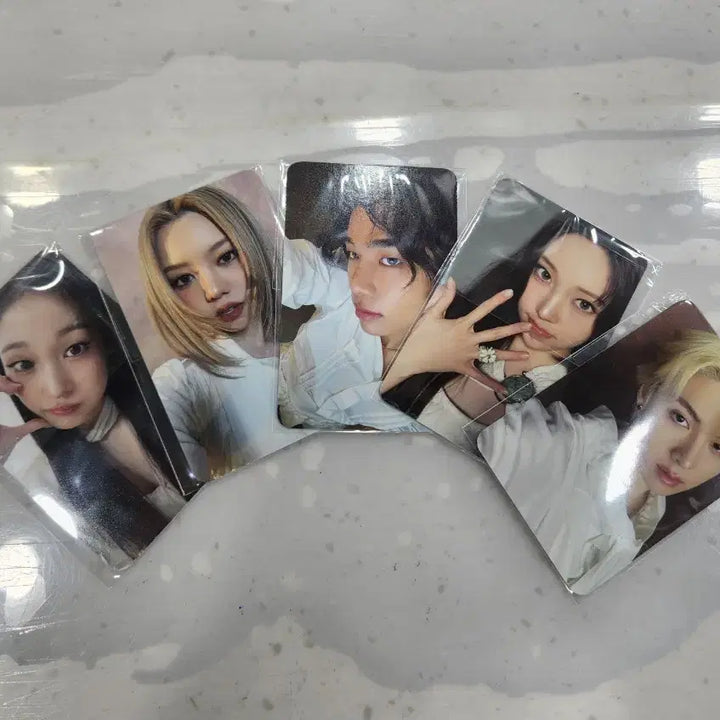 [BUNJANG] All Day Project Eves Roshe Photocard Set / 새상품)올데이프로젝트 올데프 이브로쉐 포카 세트