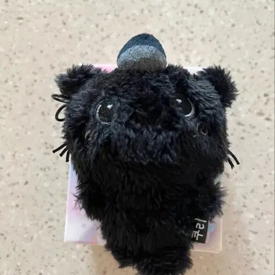 [BUNJANG] Color Wish Doll Secret Black Kuri / 컬러 위시돌 시크릿 블랙 쿠리