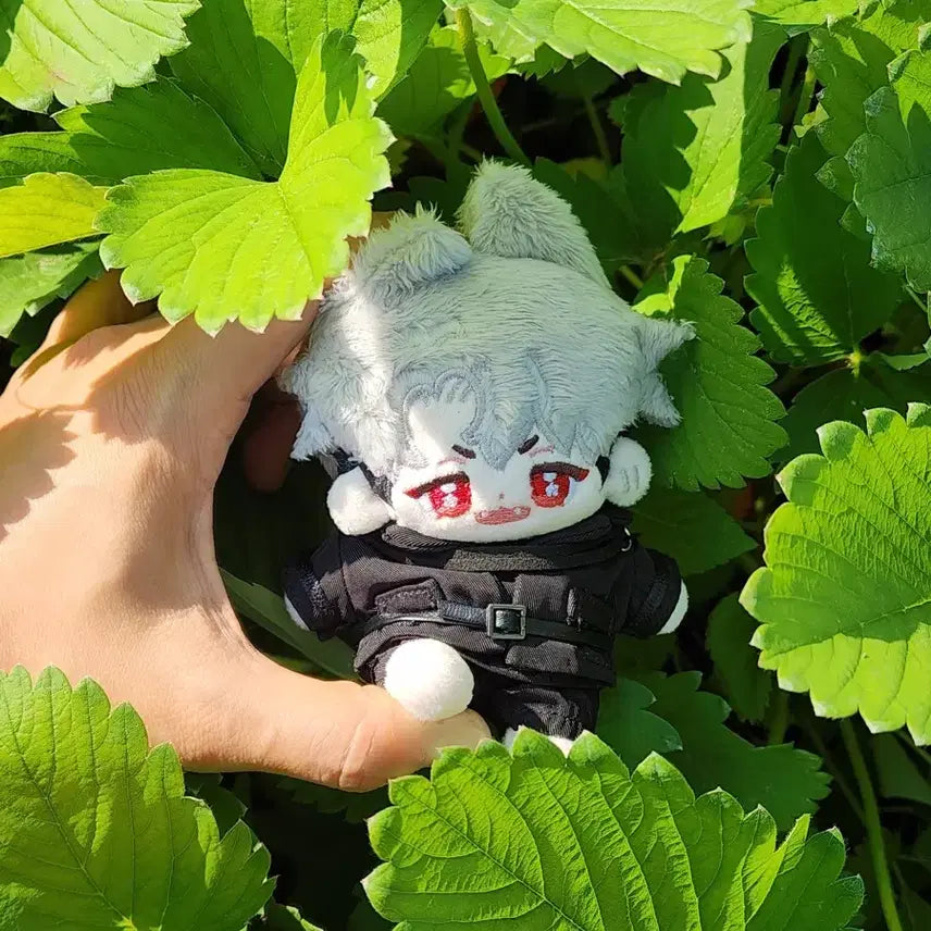 [BUNJANG] PLAVE Borayeve Yattz Plush Set / 플레이브 인형 뽀레이브 야타즈